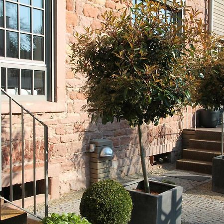 Junior Suite The Backyard Tby 01 Trier Exterior foto